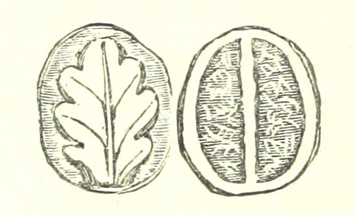 An illustration from L'Île de Rhodes, etc. [With a map, 1881, leaf 424