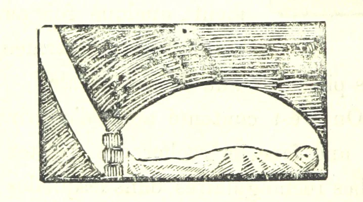 An illustration from L'Île de Rhodes, etc. [With a map, 1881, leaf 438