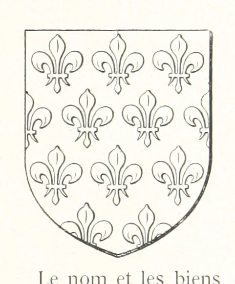 An illustration from Beaujolais-Forez-Dombes. Thizy et les environs. Armorial et notes généalogiques. Ouvrage orné de 380 gravures et rédigé d'après les notes éparses laissées par Étienne Mulsant, etc, 1899, leaf 11