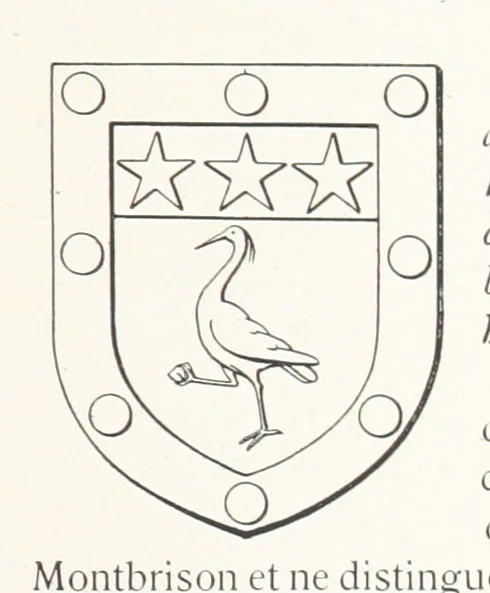 An illustration from Beaujolais-Forez-Dombes. Thizy et les environs. Armorial et notes généalogiques. Ouvrage orné de 380 gravures et rédigé d'après les notes éparses laissées par Étienne Mulsant, etc, 1899, leaf 13