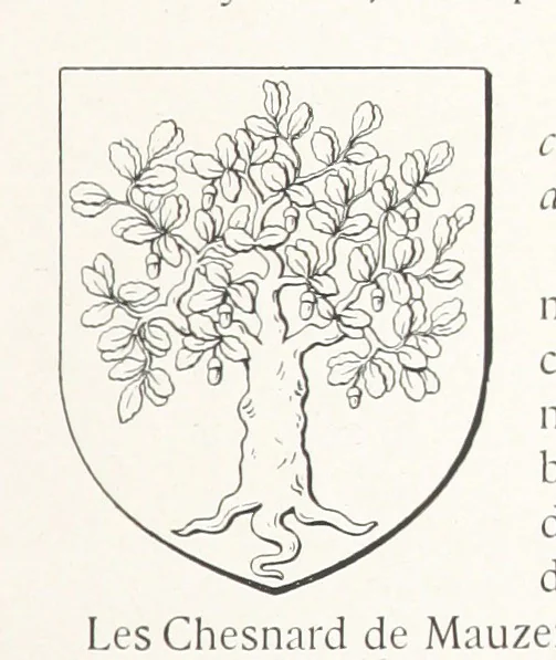 An illustration from Beaujolais-Forez-Dombes. Thizy et les environs. Armorial et notes généalogiques. Ouvrage orné de 380 gravures et rédigé d'après les notes éparses laissées par Étienne Mulsant, etc, 1899, leaf 17
