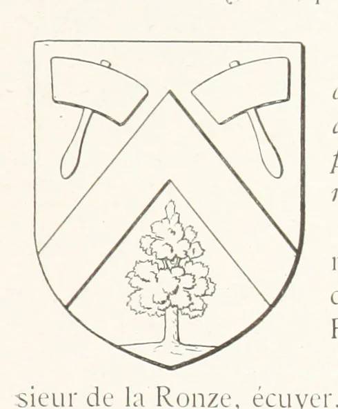 An illustration from Beaujolais-Forez-Dombes. Thizy et les environs. Armorial et notes généalogiques. Ouvrage orné de 380 gravures et rédigé d'après les notes éparses laissées par Étienne Mulsant, etc, 1899, leaf 19