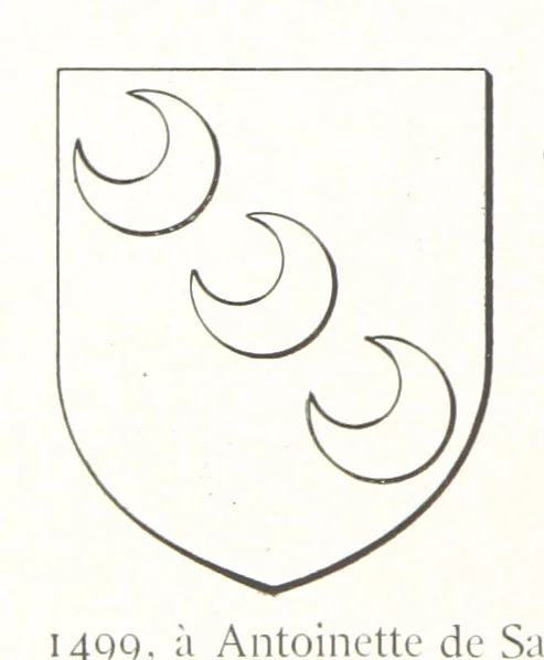 An illustration from Beaujolais-Forez-Dombes. Thizy et les environs. Armorial et notes généalogiques. Ouvrage orné de 380 gravures et rédigé d'après les notes éparses laissées par Étienne Mulsant, etc, 1899, leaf 24