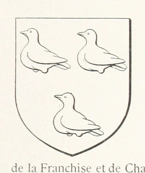 An illustration from Beaujolais-Forez-Dombes. Thizy et les environs. Armorial et notes généalogiques. Ouvrage orné de 380 gravures et rédigé d'après les notes éparses laissées par Étienne Mulsant, etc, 1899, leaf 27