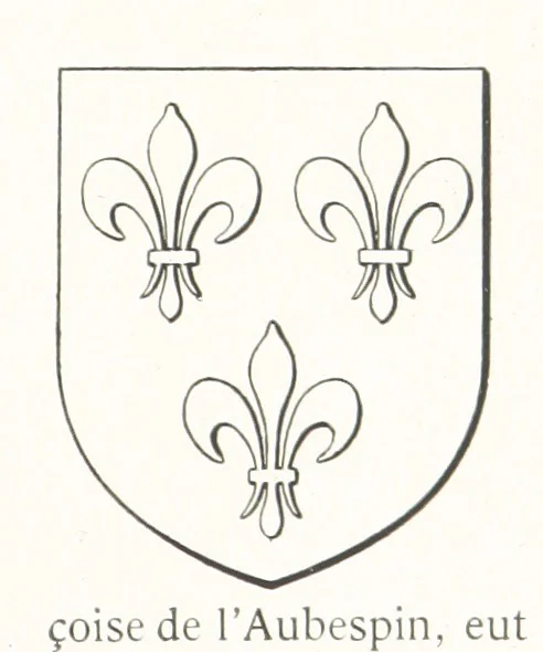 An illustration from Beaujolais-Forez-Dombes. Thizy et les environs. Armorial et notes généalogiques. Ouvrage orné de 380 gravures et rédigé d'après les notes éparses laissées par Étienne Mulsant, etc, 1899, leaf 29