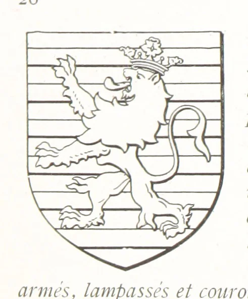 An illustration from Beaujolais-Forez-Dombes. Thizy et les environs. Armorial et notes généalogiques. Ouvrage orné de 380 gravures et rédigé d'après les notes éparses laissées par Étienne Mulsant, etc, 1899, leaf 30