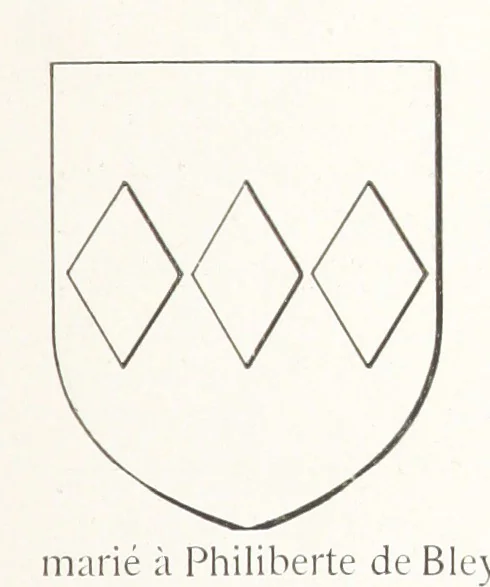 An illustration from Beaujolais-Forez-Dombes. Thizy et les environs. Armorial et notes généalogiques. Ouvrage orné de 380 gravures et rédigé d'après les notes éparses laissées par Étienne Mulsant, etc, 1899, leaf 31