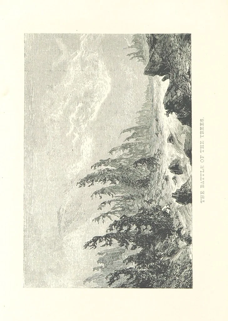 An illustration from The Pyrenees: a description of summer life at French watering places ... With ... illustrations by Gustave Doré, and a new map of the Central Pyrenees, 1881, leaf 134