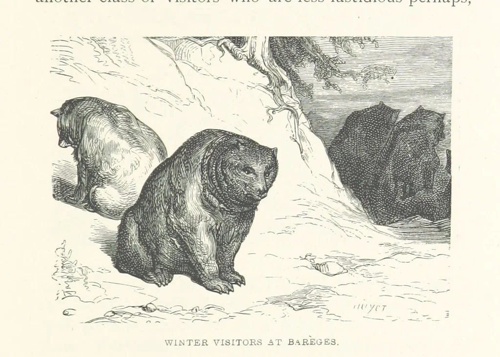 An illustration from The Pyrenees: a description of summer life at French watering places ... With ... illustrations by Gustave Doré, and a new map of the Central Pyrenees, 1881, leaf 169