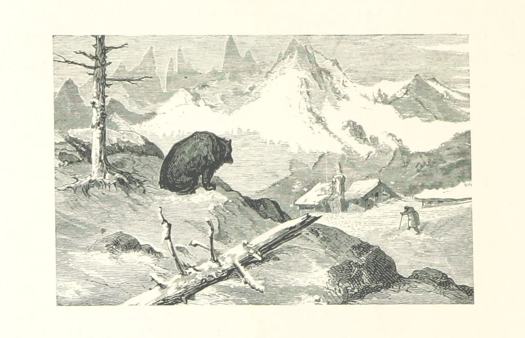 An illustration from The Pyrenees: a description of summer life at French watering places ... With ... illustrations by Gustave Doré, and a new map of the Central Pyrenees, 1881, leaf 170