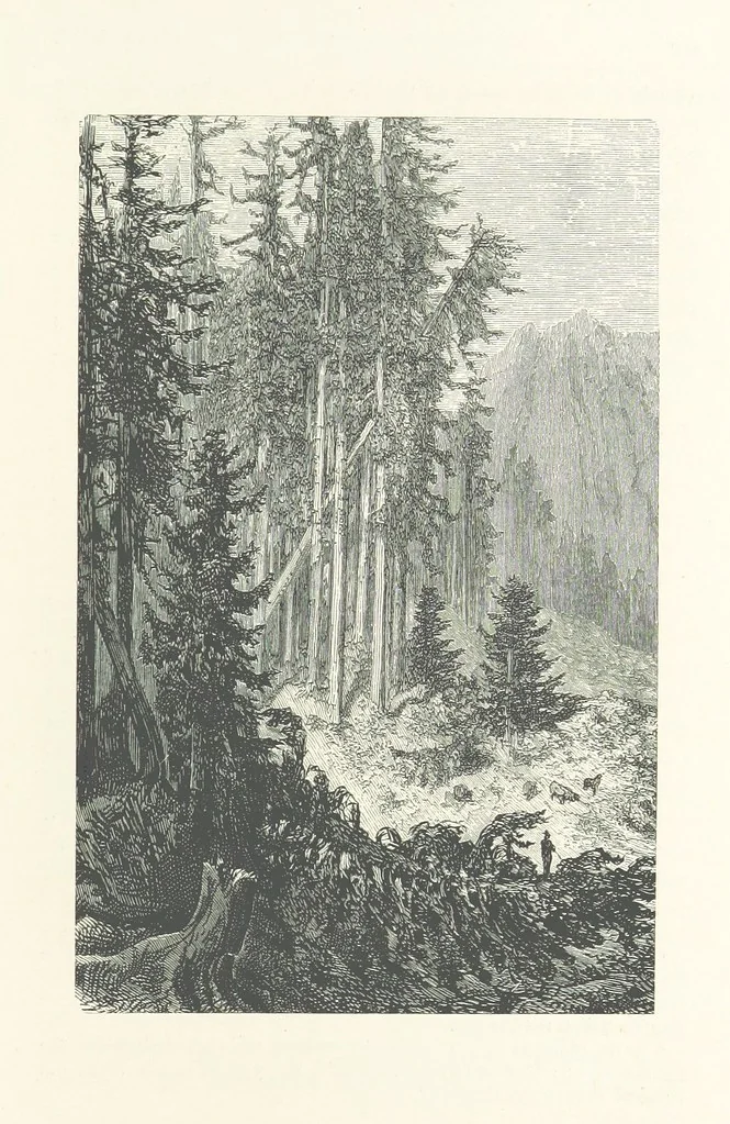 An illustration from The Pyrenees: a description of summer life at French watering places ... With ... illustrations by Gustave Doré, and a new map of the Central Pyrenees, 1881, leaf 175
