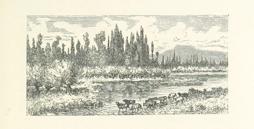An illustration from The Pyrenees: a description of summer life at French watering places ... With ... illustrations by Gustave Doré, and a new map of the Central Pyrenees, 1881, leaf 19