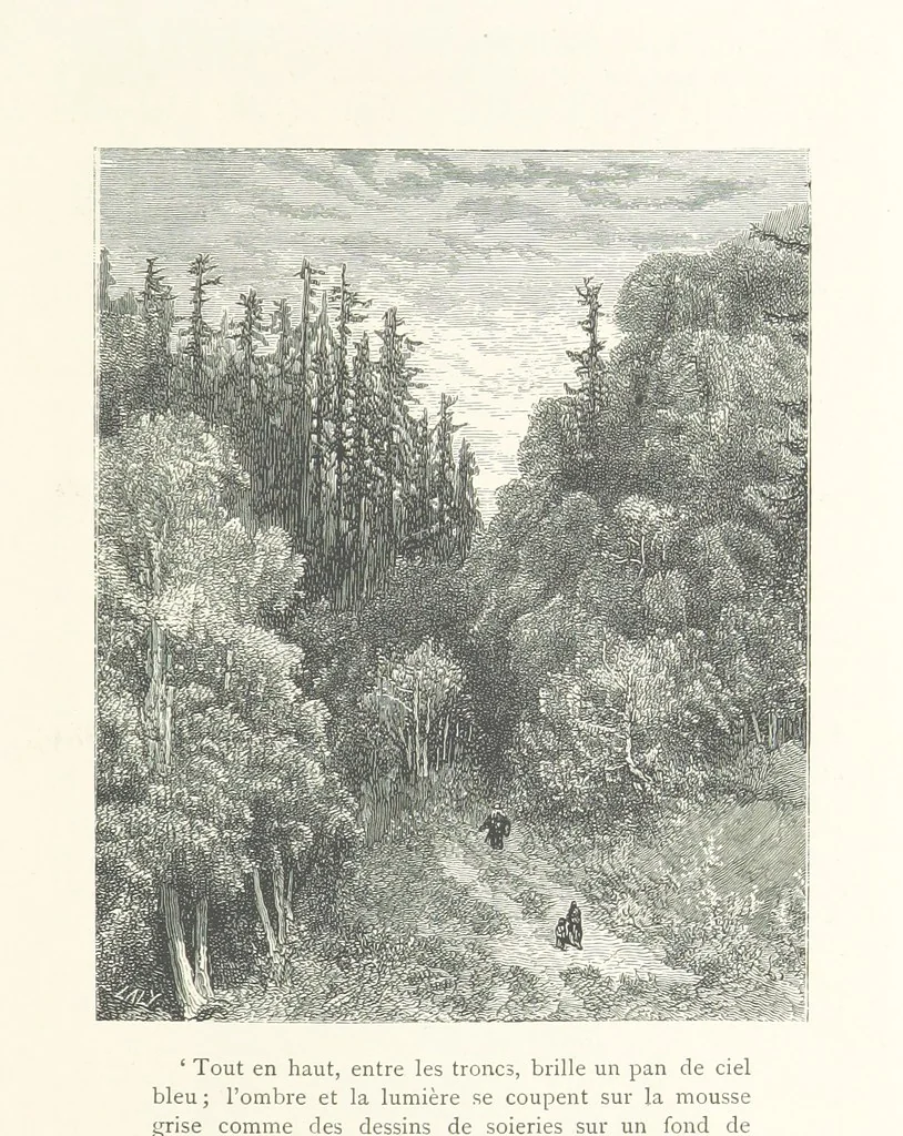 An illustration from The Pyrenees: a description of summer life at French watering places ... With ... illustrations by Gustave Doré, and a new map of the Central Pyrenees, 1881, leaf 201