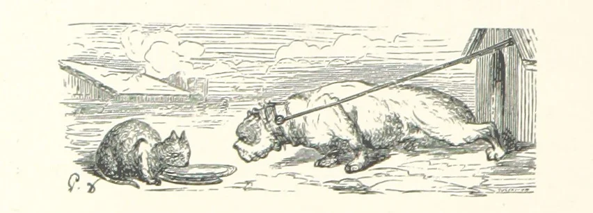 An illustration from The Pyrenees: a description of summer life at French watering places ... With ... illustrations by Gustave Doré, and a new map of the Central Pyrenees, 1881, leaf 202