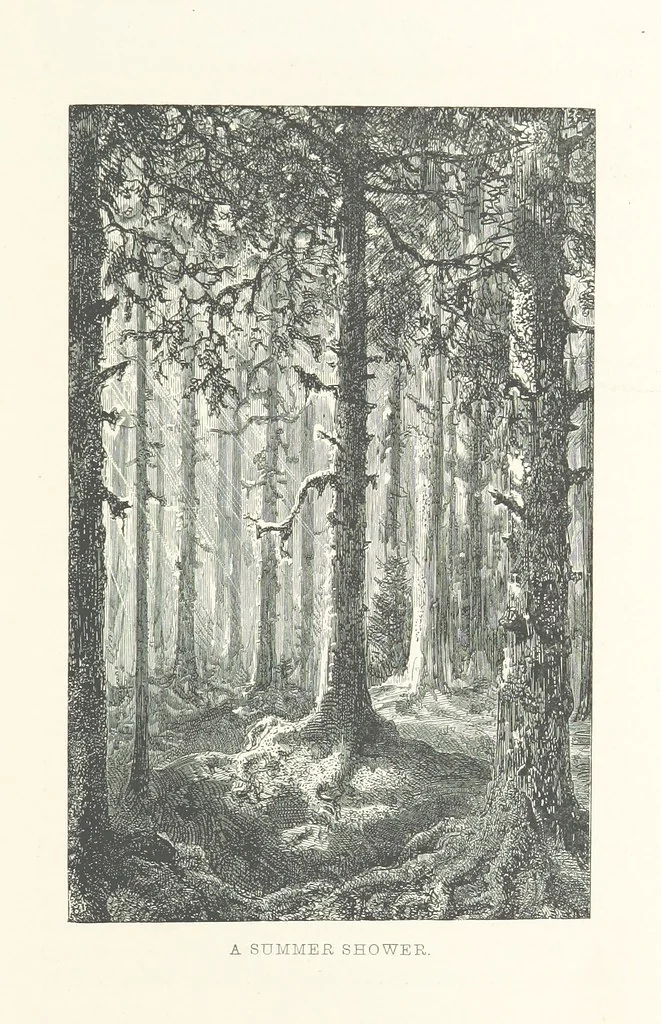 An illustration from The Pyrenees: a description of summer life at French watering places ... With ... illustrations by Gustave Doré, and a new map of the Central Pyrenees, 1881, leaf 205