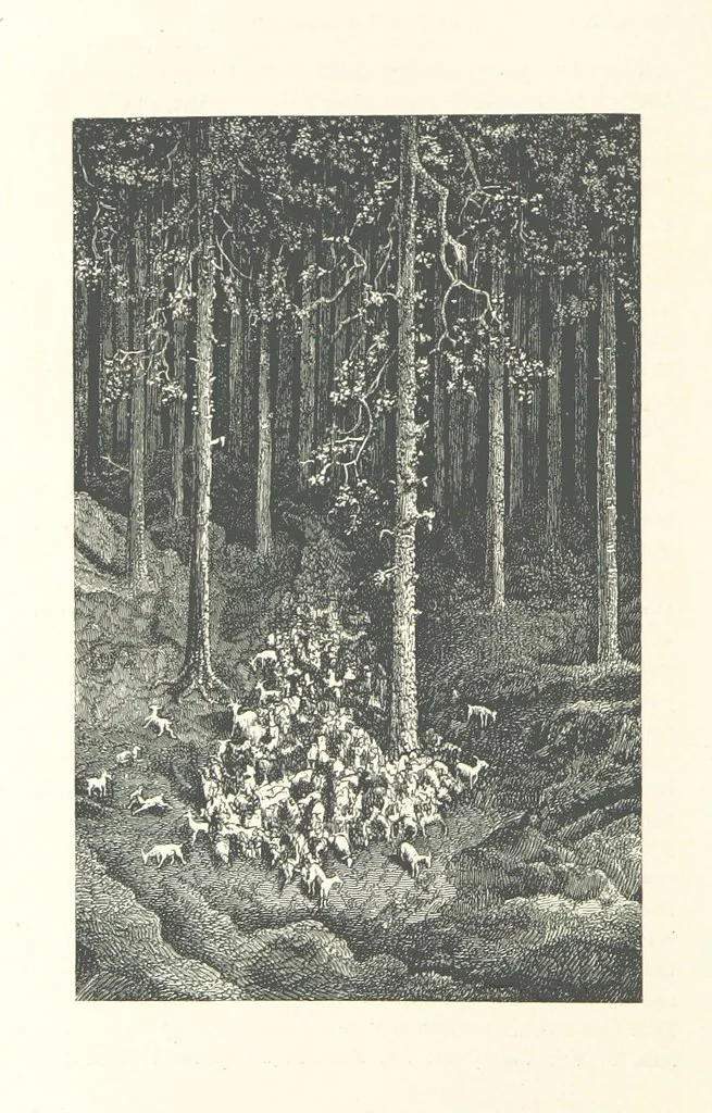 An illustration from The Pyrenees: a description of summer life at French watering places ... With ... illustrations by Gustave Doré, and a new map of the Central Pyrenees, 1881, leaf 224