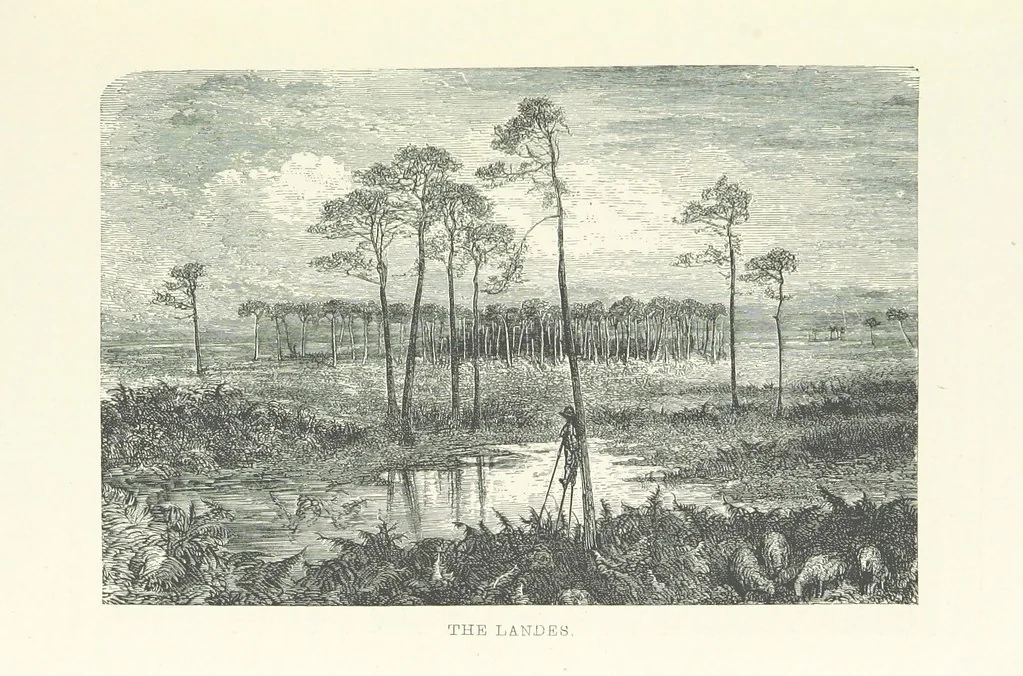 An illustration from The Pyrenees: a description of summer life at French watering places ... With ... illustrations by Gustave Doré, and a new map of the Central Pyrenees, 1881, leaf 25
