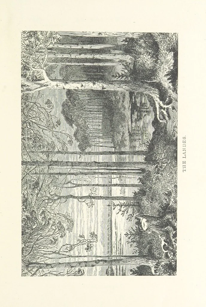 An illustration from The Pyrenees: a description of summer life at French watering places ... With ... illustrations by Gustave Doré, and a new map of the Central Pyrenees, 1881, leaf 27