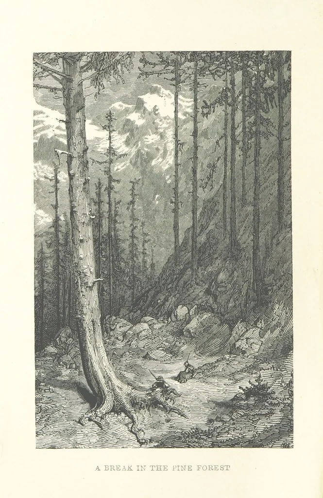 An illustration from The Pyrenees: a description of summer life at French watering places ... With ... illustrations by Gustave Doré, and a new map of the Central Pyrenees, 1881, leaf 6