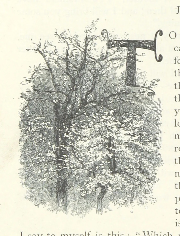 An illustration from Lorna Doone: a romance of Exmoor, 1883, leaf 134