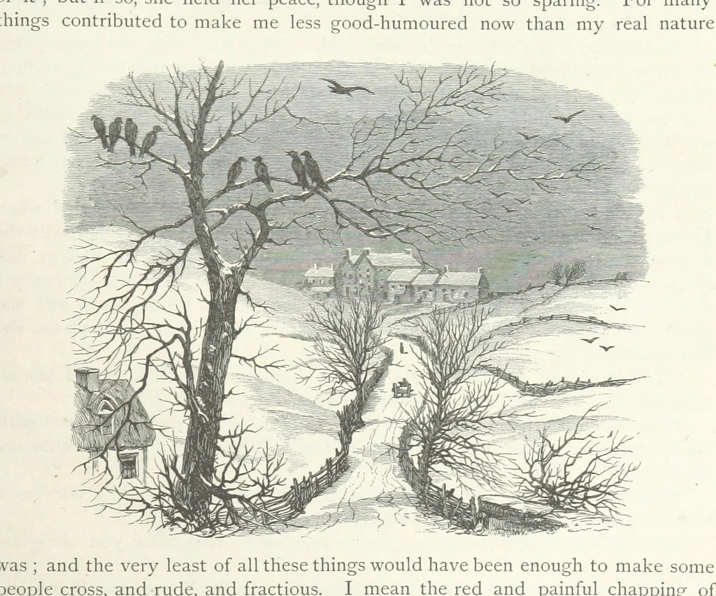 An illustration from Lorna Doone: a romance of Exmoor, 1883, leaf 313