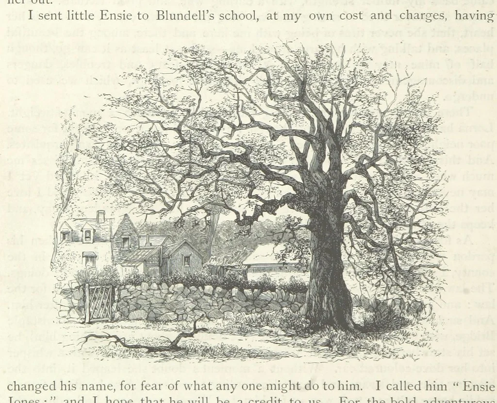 An illustration from Lorna Doone: a romance of Exmoor, 1883, leaf 582