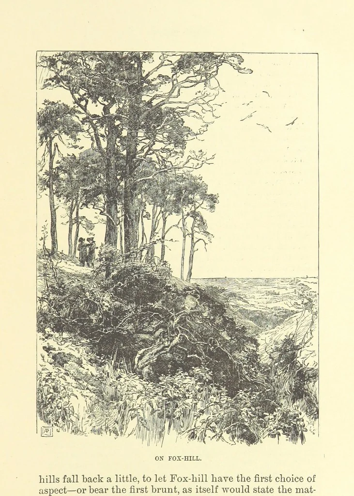 An illustration from Springhaven. A tale of the Great War ... Third edition, 1888, leaf 109