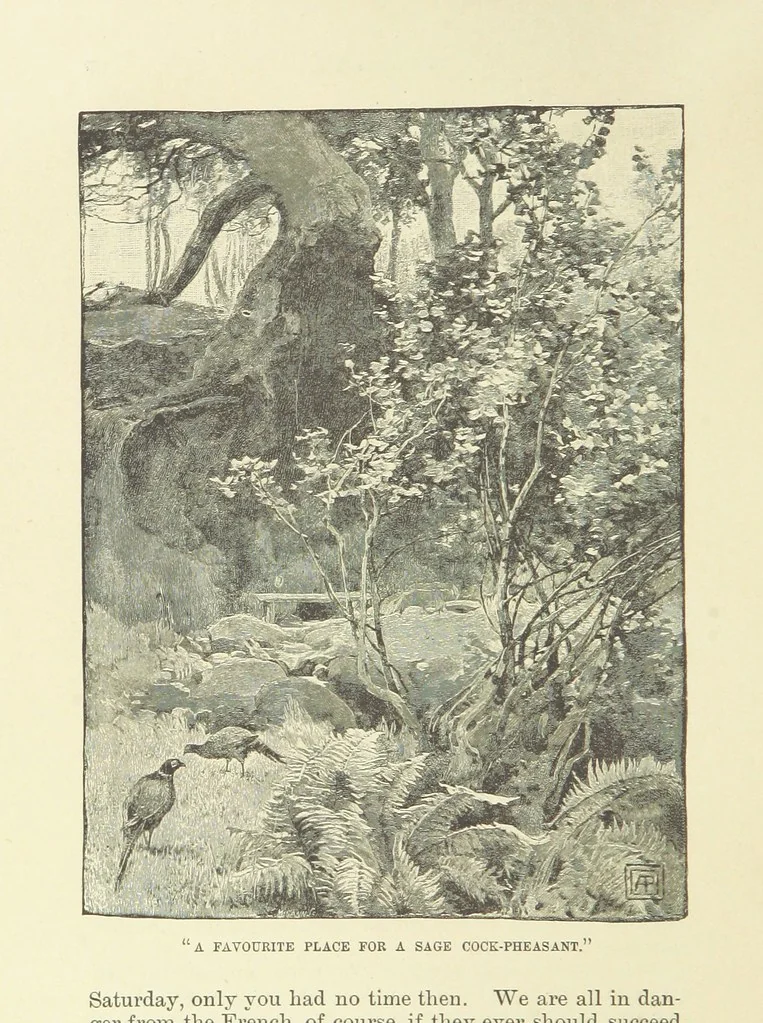 An illustration from Springhaven. A tale of the Great War ... Third edition, 1888, leaf 176