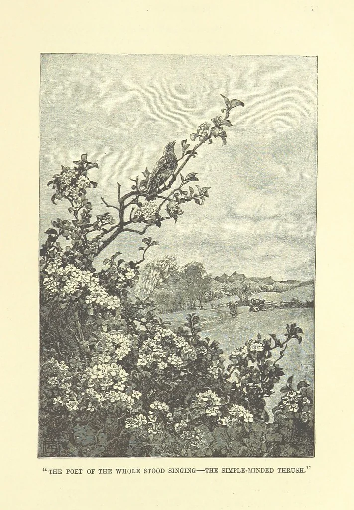 An illustration from Springhaven. A tale of the Great War ... Third edition, 1888, leaf 303