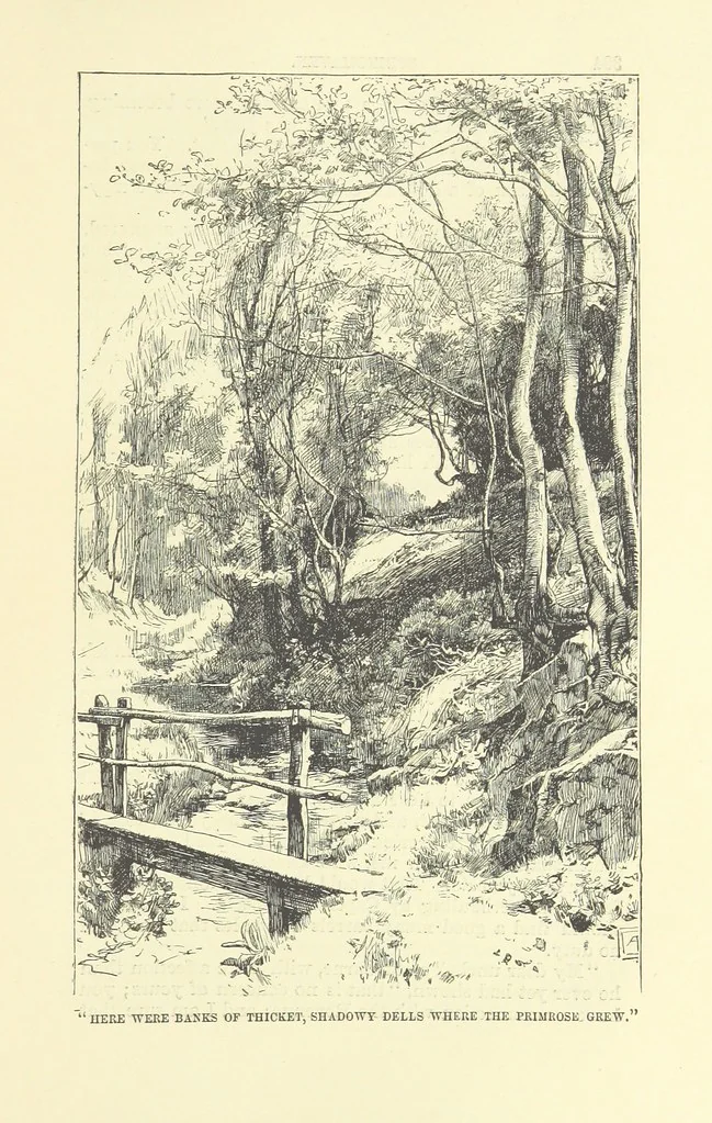 An illustration from Springhaven. A tale of the Great War ... Third edition, 1888, leaf 405