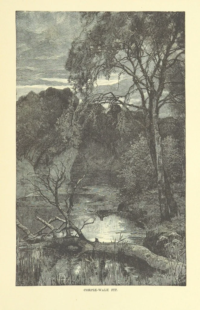 An illustration from Springhaven. A tale of the Great War ... Third edition, 1888, leaf 487