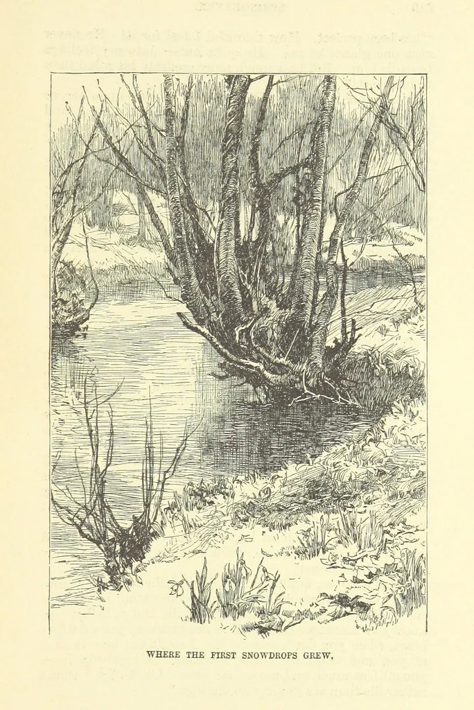 An illustration from Springhaven. A tale of the Great War ... Third edition, 1888, leaf 521