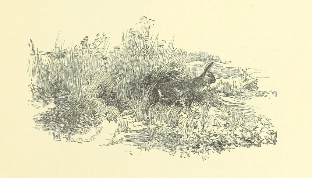 An illustration from Springhaven. A tale of the Great War ... Third edition, 1888, leaf 63