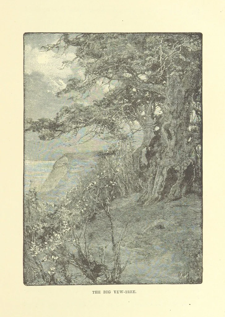 An illustration from Springhaven. A tale of the Great War ... Third edition, 1888, leaf 79