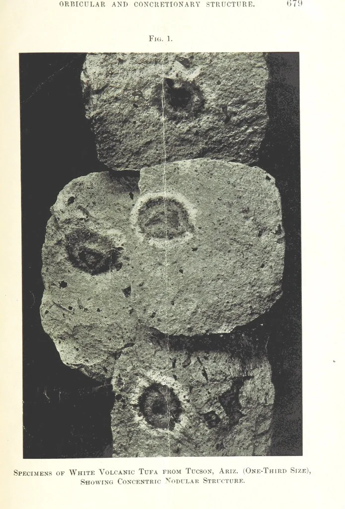 An illustration from Articles on the geology of North America and other subjects, reprinted from various periodicals, 1855, leaf 103