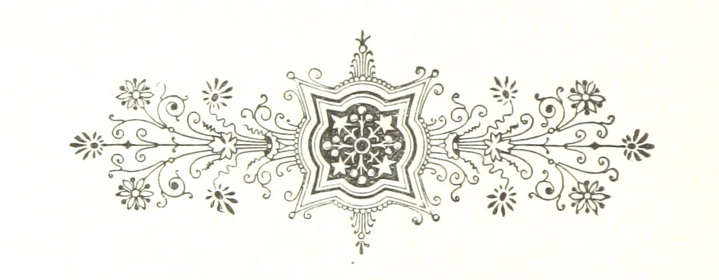An illustration from History of Du Page County, Illinois, etc. [With portraits, 1882, leaf 308