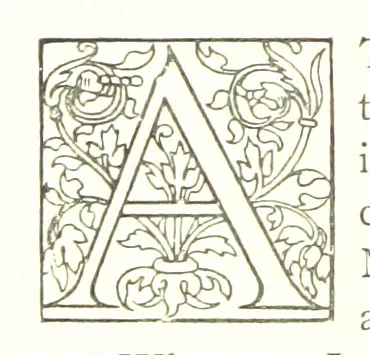 An illustration from Tarantella. A romance, 1885, leaf 232