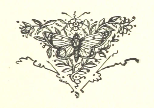 An illustration from Tarantella. A romance, 1885, leaf 99