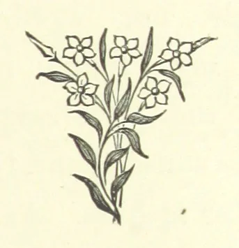 An illustration from Antionette. A tale of the ancien régime, 1888, leaf 121