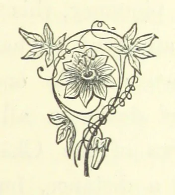 An illustration from Antionette. A tale of the ancien régime, 1888, leaf 225