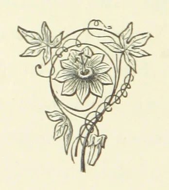 An illustration from Antionette. A tale of the ancien régime, 1888, leaf 98