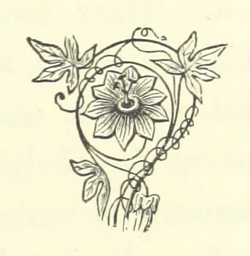 An illustration from Antionette. A tale of the ancien régime, 1888, leaf 111
