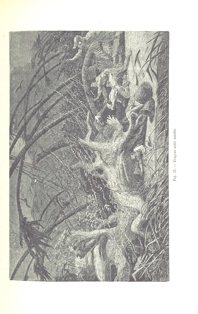 An illustration from Fisica del globo. Spazi, climi e meteore. Corso completo di geografia fisica e di meteorologia, etc, 1868, leaf 325