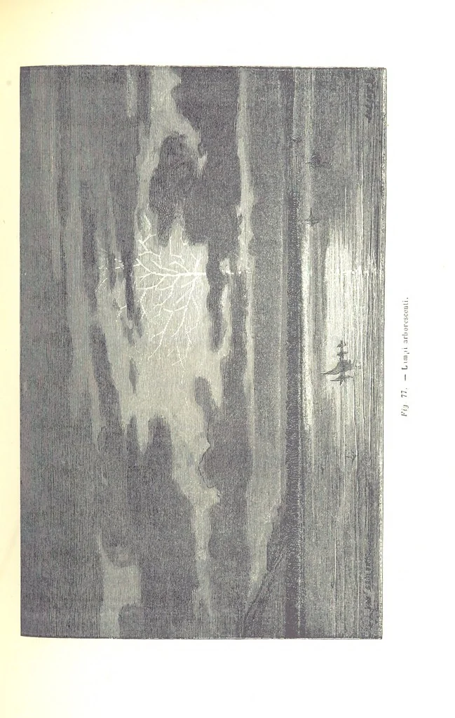 An illustration from Fisica del globo. Spazi, climi e meteore. Corso completo di geografia fisica e di meteorologia, etc, 1868, leaf 449