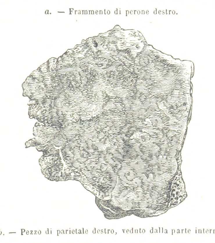 An illustration from Fisica del globo. Spazi, climi e meteore. Corso completo di geografia fisica e di meteorologia, etc, 1868, leaf 849