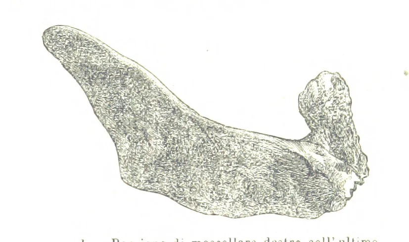 An illustration from Fisica del globo. Spazi, climi e meteore. Corso completo di geografia fisica e di meteorologia, etc, 1868, leaf 849