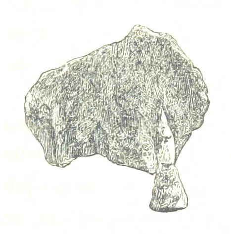 An illustration from Fisica del globo. Spazi, climi e meteore. Corso completo di geografia fisica e di meteorologia, etc, 1868, leaf 849
