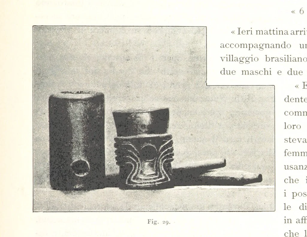 An illustration from Viaggi d'un artista nell'America Meridionale. I Caduvei, Mbayá o Guaycurú. Con prefazione ed uno studio storico ed etnografico del Dott. G. A. Colini. 112 figure, etc, 1895, leaf 111