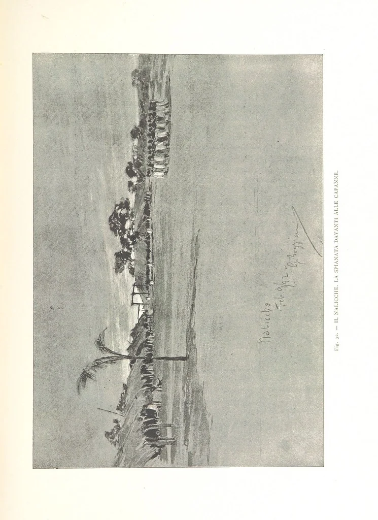 An illustration from Viaggi d'un artista nell'America Meridionale. I Caduvei, Mbayá o Guaycurú. Con prefazione ed uno studio storico ed etnografico del Dott. G. A. Colini. 112 figure, etc, 1895, leaf 115