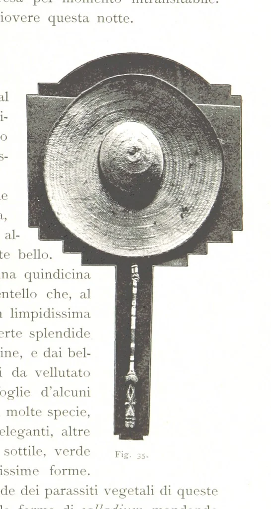 An illustration from Viaggi d'un artista nell'America Meridionale. I Caduvei, Mbayá o Guaycurú. Con prefazione ed uno studio storico ed etnografico del Dott. G. A. Colini. 112 figure, etc, 1895, leaf 121
